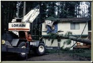 storm damage tree removal