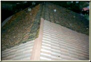 Examples of a Tile roof cleaned vs. uncleaned.